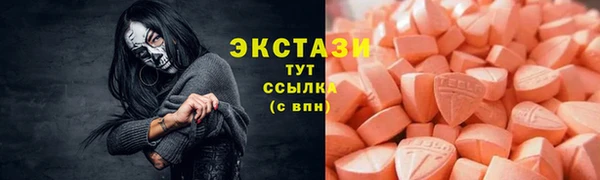 индика Горно-Алтайск