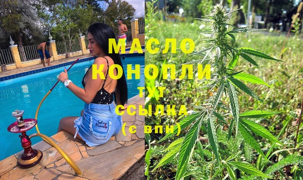 индика Горно-Алтайск