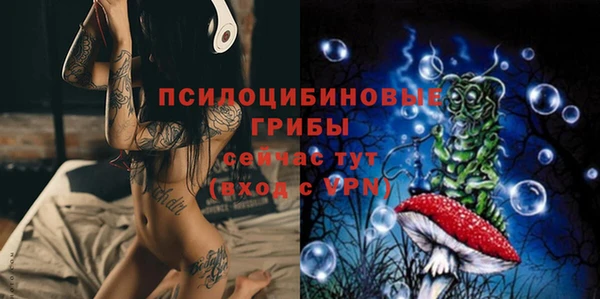 индика Горно-Алтайск