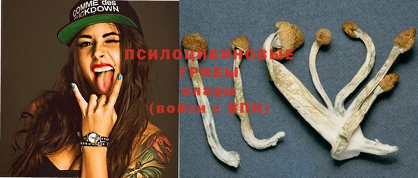 spice Сосновка