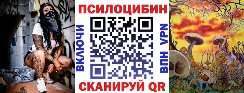 как найти закладки Гаврилов-Ям Псилоцибиновые грибы мицелий